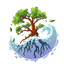Mangrove MC | 🏳️‍🌈LGBTQ+ Friendly🏳️‍⚧️
