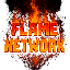 Flame Network