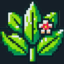花曜之境 BloomCraft