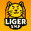 LigerSMP