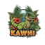 Kawhi