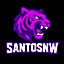 SantosNetwork SantosNetwork