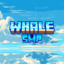 WhaleMC Network WhaleMC Network
