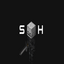 SkullHavean
