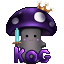 KOG NETWORK