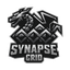 SynapseGrid