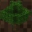 MineTree