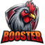 Rooster Network