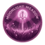 Moonlight Meadow