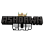 Ashdawn Smp