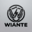 Wiante Network