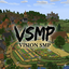vision smp