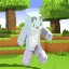 MCRUN Lifesteal SMP