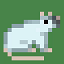Rat Anarchy | Brand New! | Active Dupes | No Border | No AC