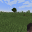 Risusmc