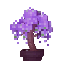 RuneCraft