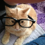 Nerdcats