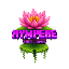 NympeaeNetwork