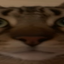 TigerSMP