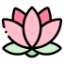 Lotus Fields