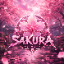 SakuraNetwork