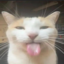 MeowSMP