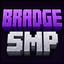 Bradge SMP