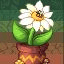 theseed