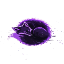 ApexNW