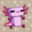 AxolotlNetwork