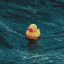 LonelyDuckSMP