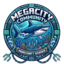 MegaCity Network