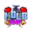 NOOB SMP