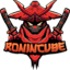 Ronincube