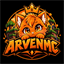 ARVENMC - Türkiyenin En İyi Towny Sunucusu