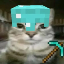 Zazu SMP