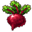 beetroot.gg