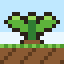 Foldgrove - Cozy FarmVille Farming