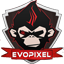 EvoPixel Network